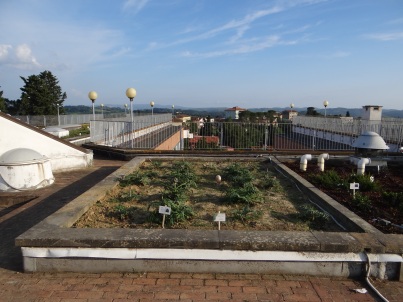 Roof Garden, Istituto Tecnico C. Cattaneo, San Minato